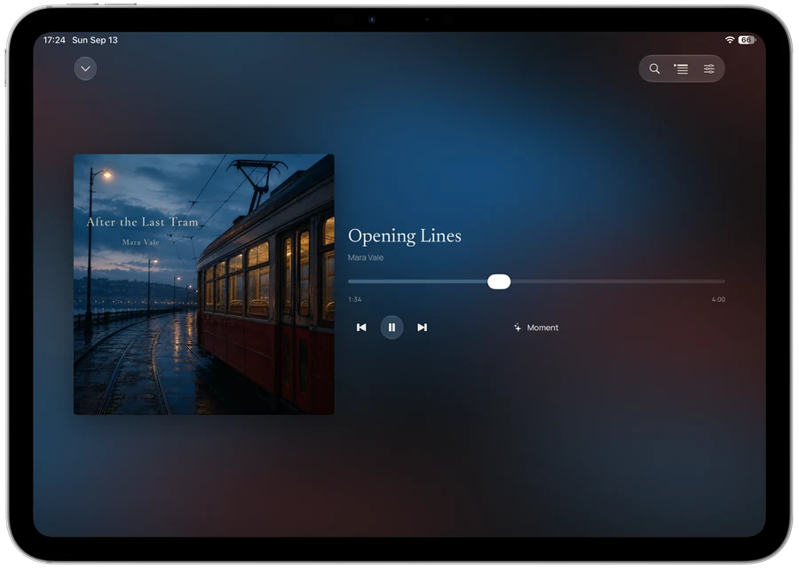 ARC Now Playing on iPad